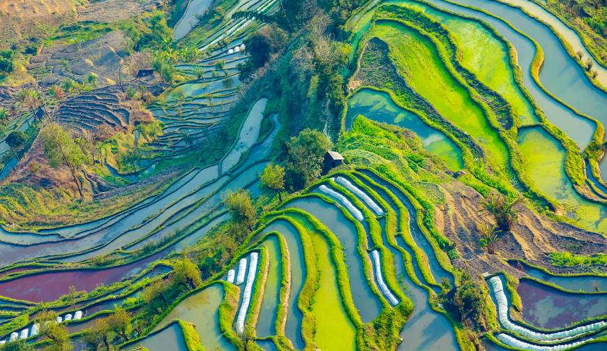 宝妈必备神器：陆丰市产品视频拍摄轻松育儿好帮手
